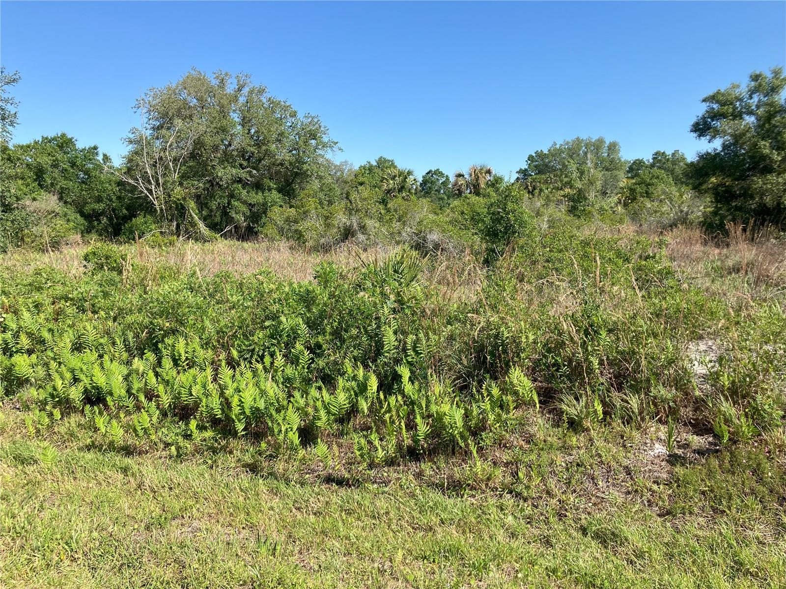 Details for 17763 278 Street, OKEECHOBEE, FL 34972