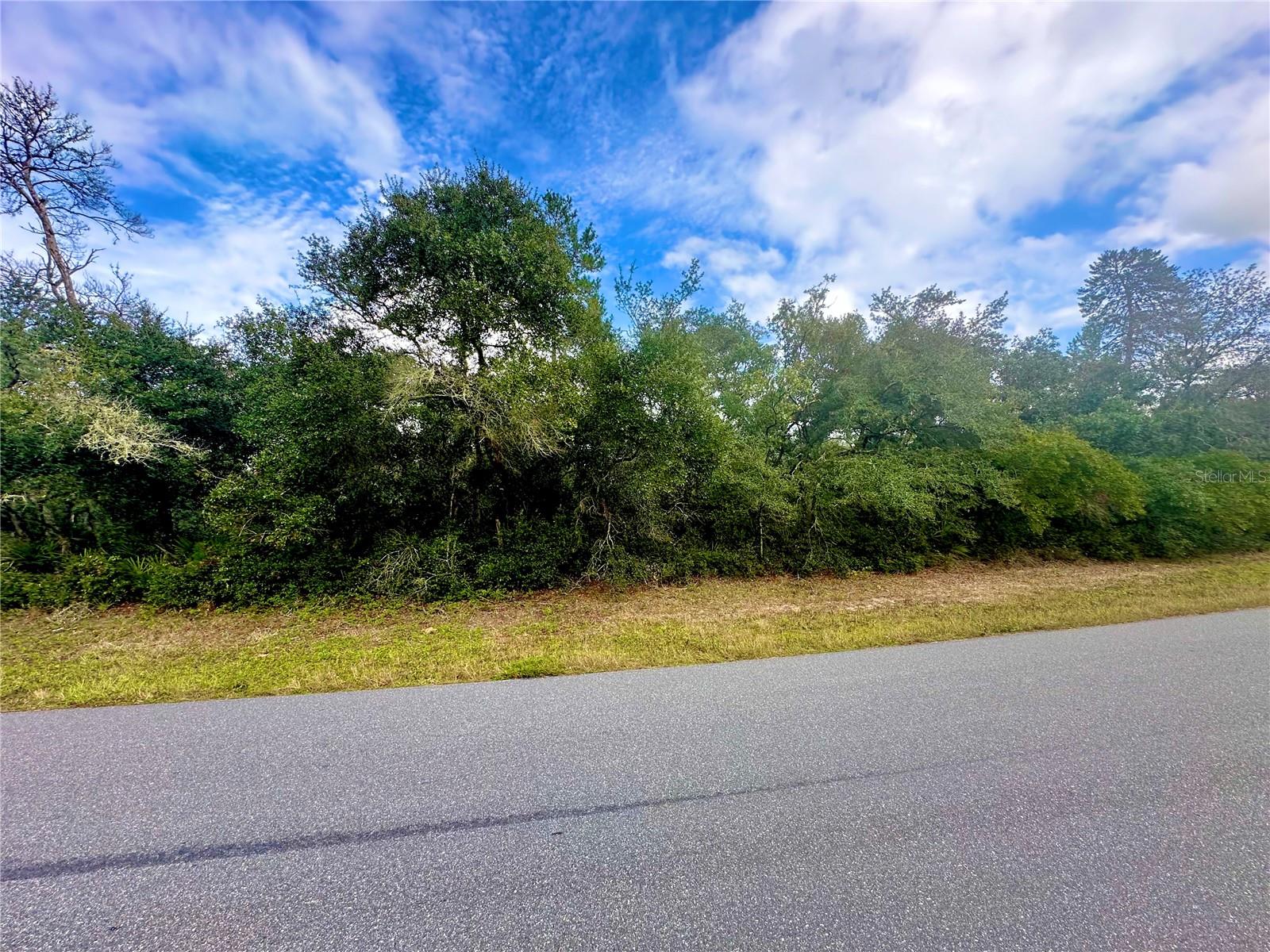 Listing Details for Tbd 35th Court Road, OCALA, FL 34473