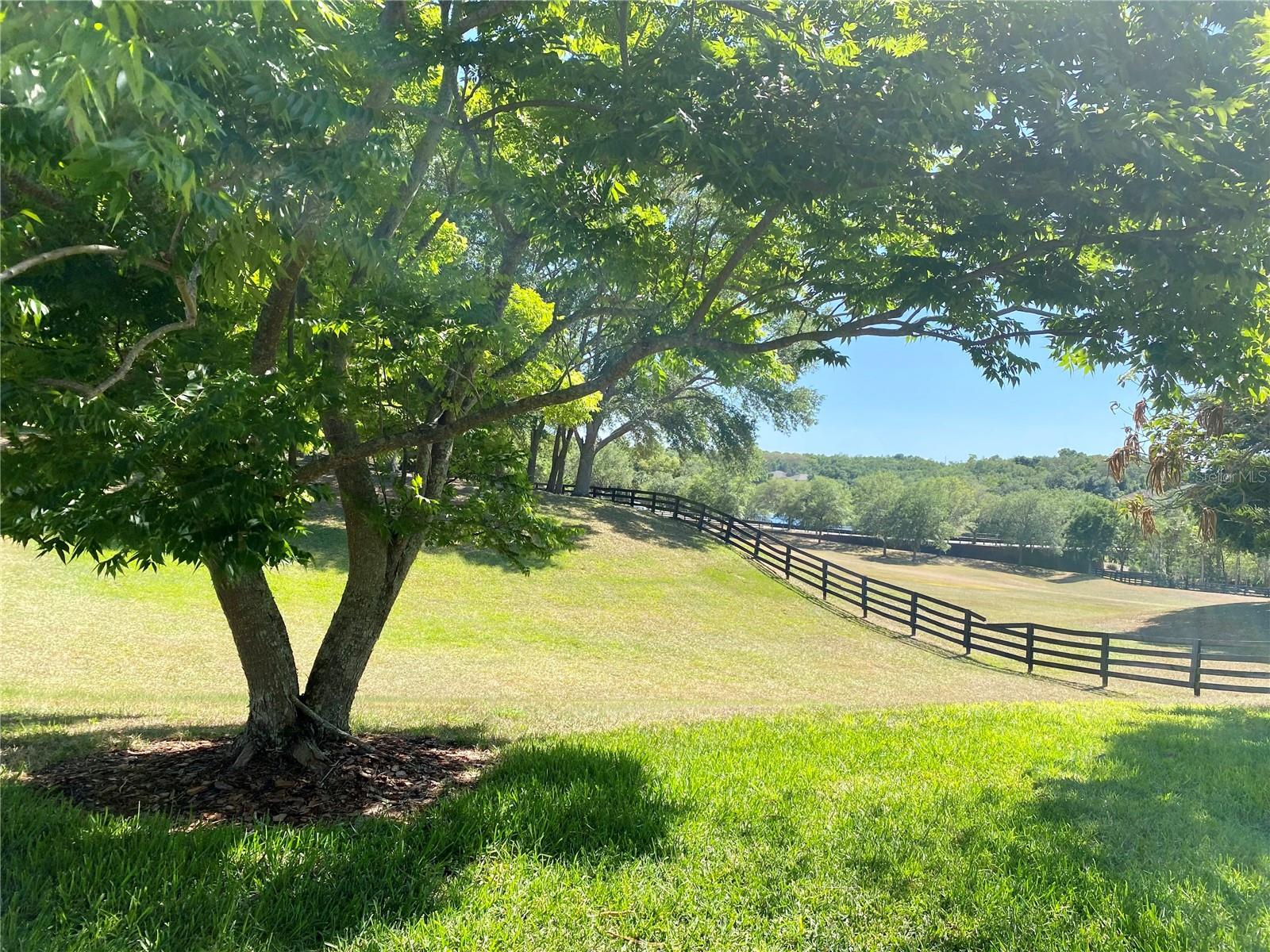 Image 4 of 23 For 30732 Lipizzan Terrace