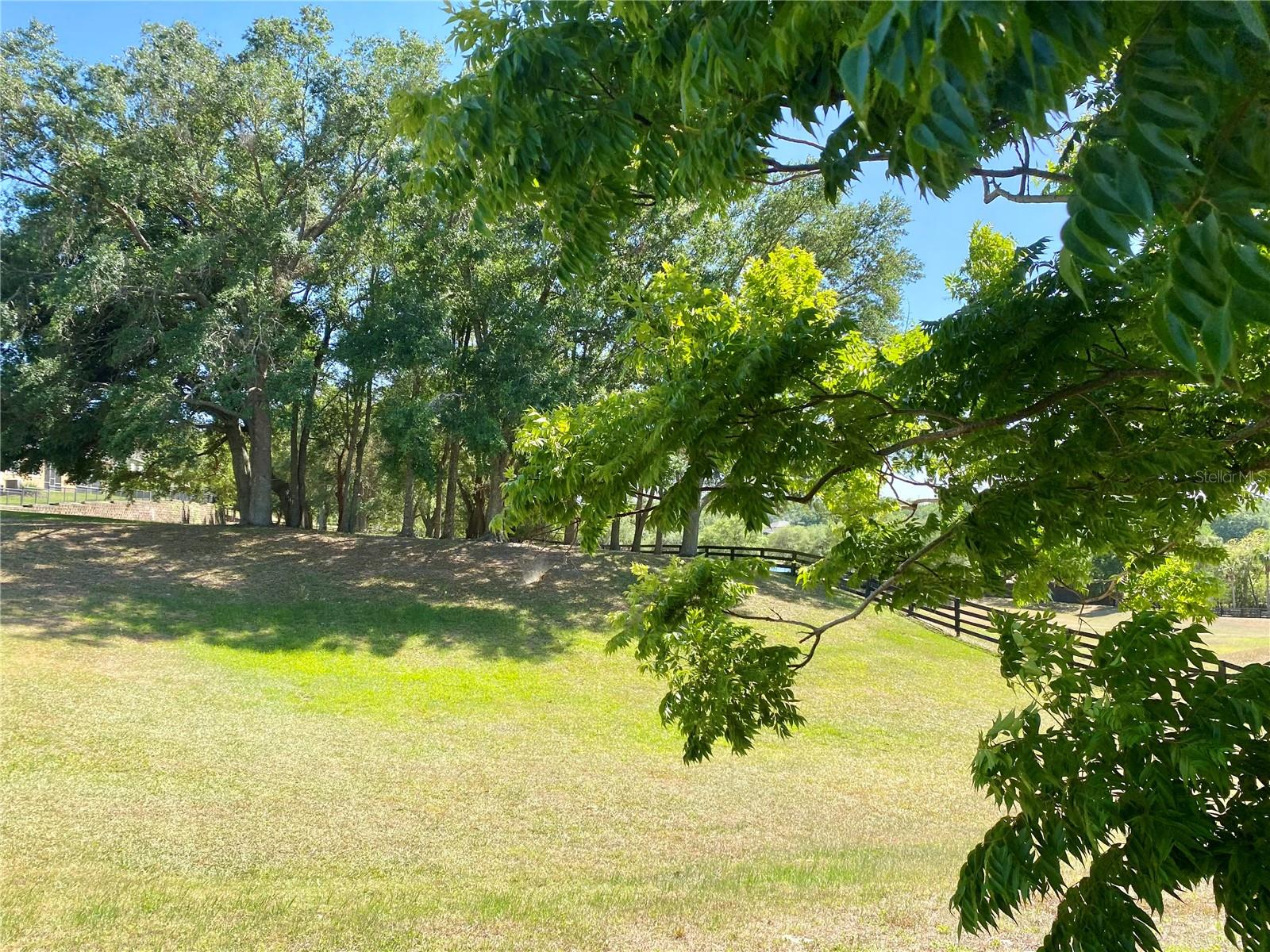 Image 5 of 23 For 30732 Lipizzan Terrace