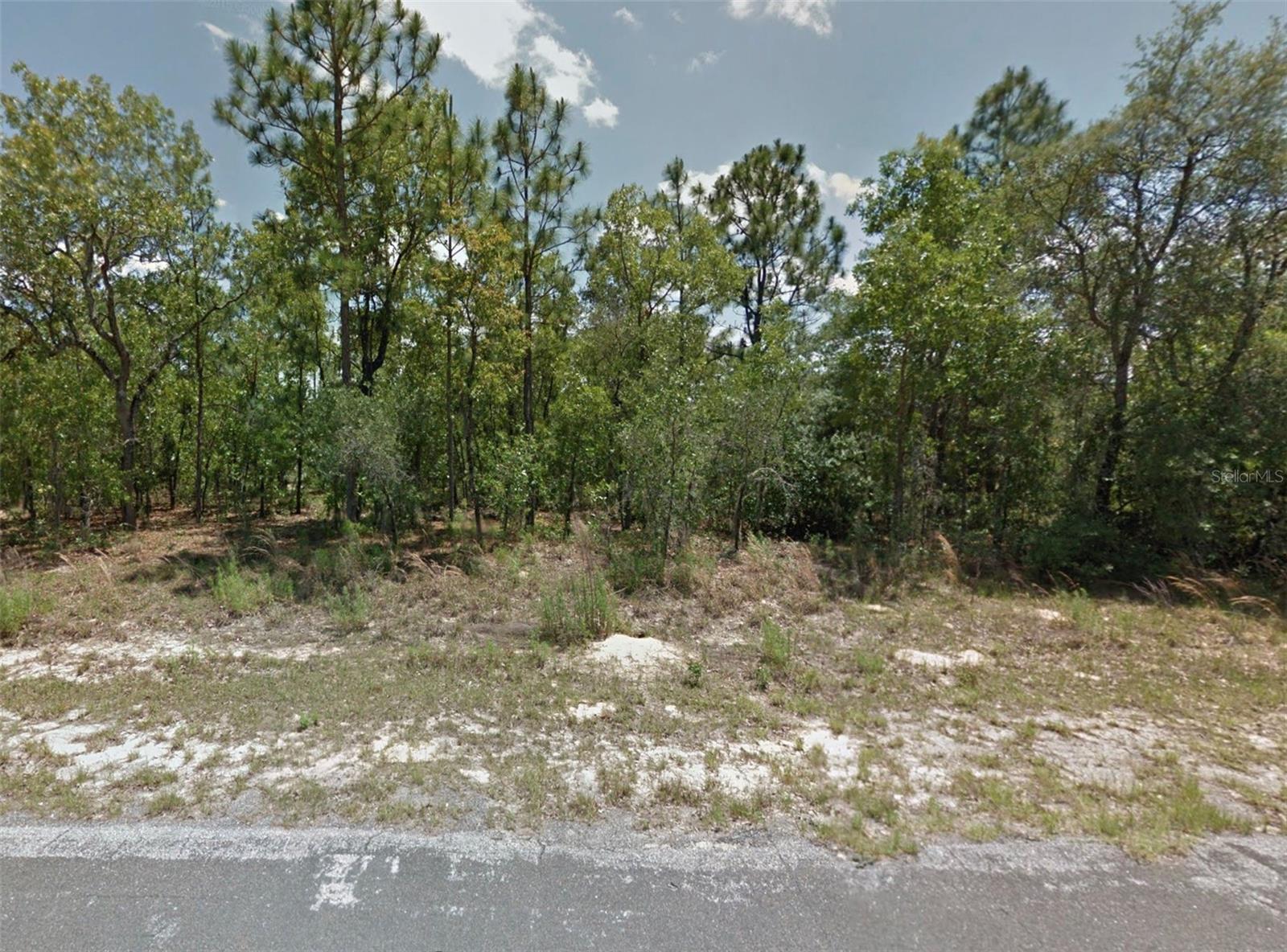 Listing photo id 4 for 2406 Menores Drive