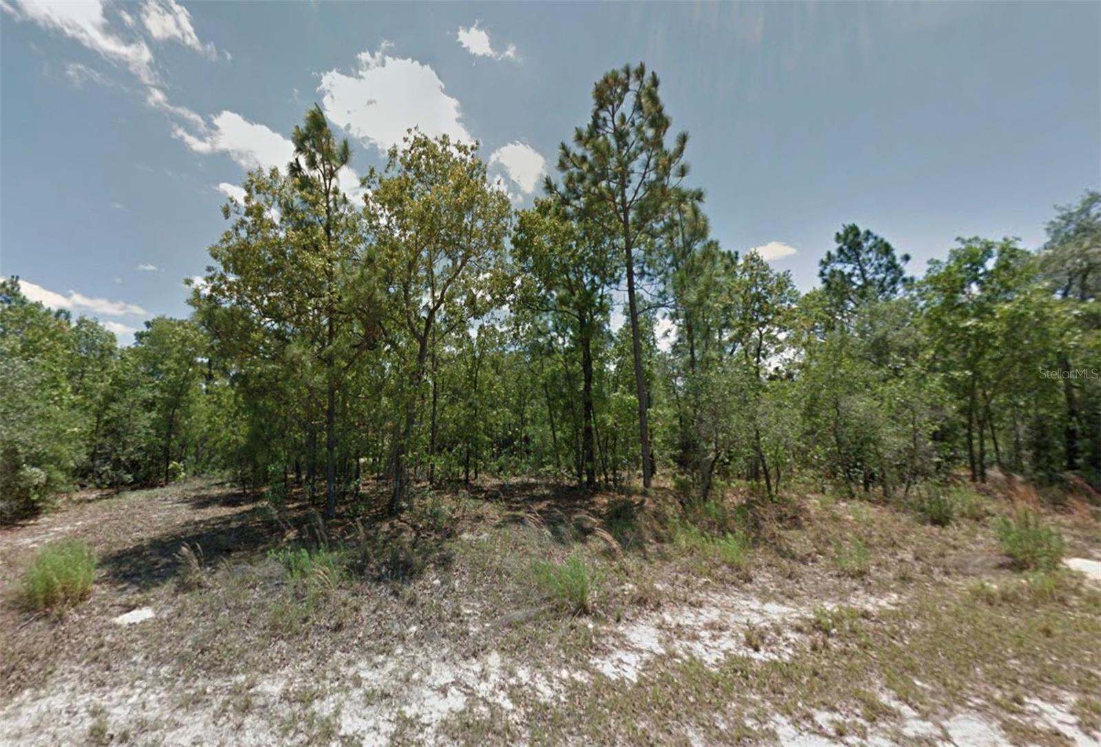 Image 6 of 8 For 2394 Menores Drive