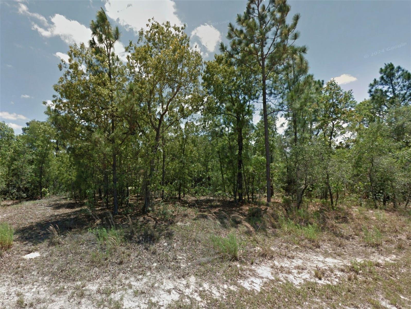 Image 7 of 8 For 2394 Menores Drive