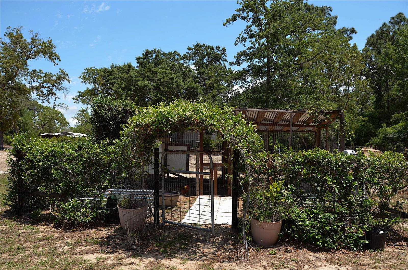 Listing photo id 24 for 11499 Sedate Street