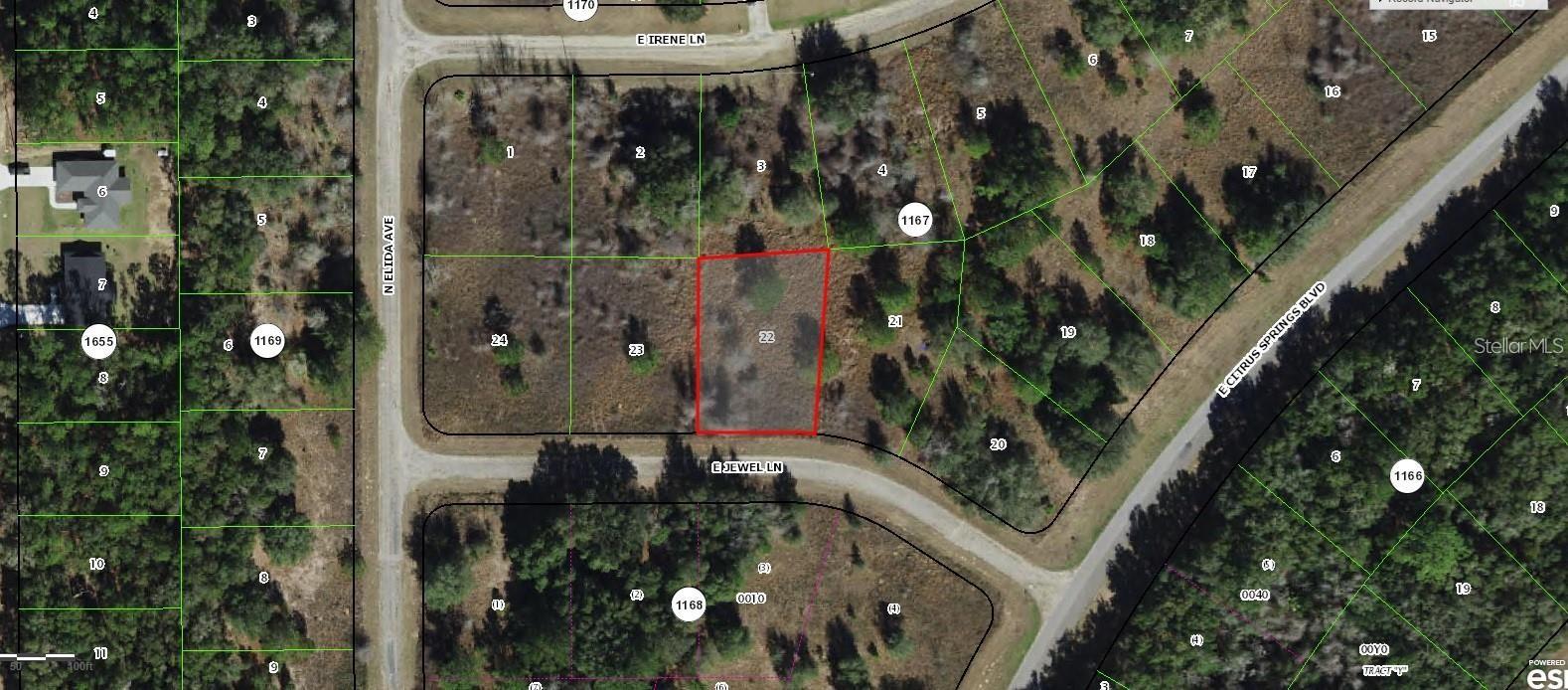 Listing Details for 599 Jewel Lane, DUNNELLON, FL 34434