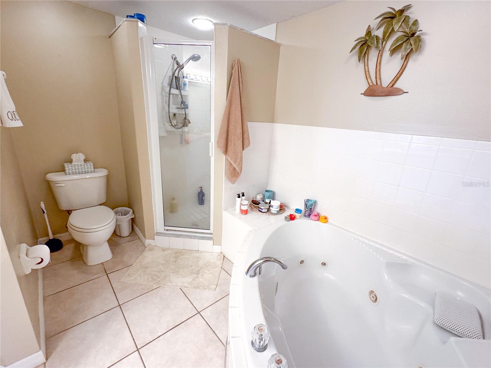 Image 30 of 56 For 5300 S Atlantic Ave  6-502