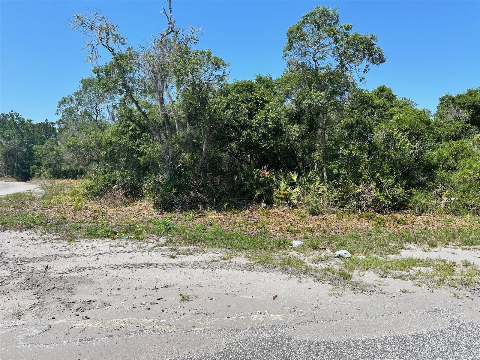 Details for Tbd Fisher Way, OCKLAWAHA, FL 32179
