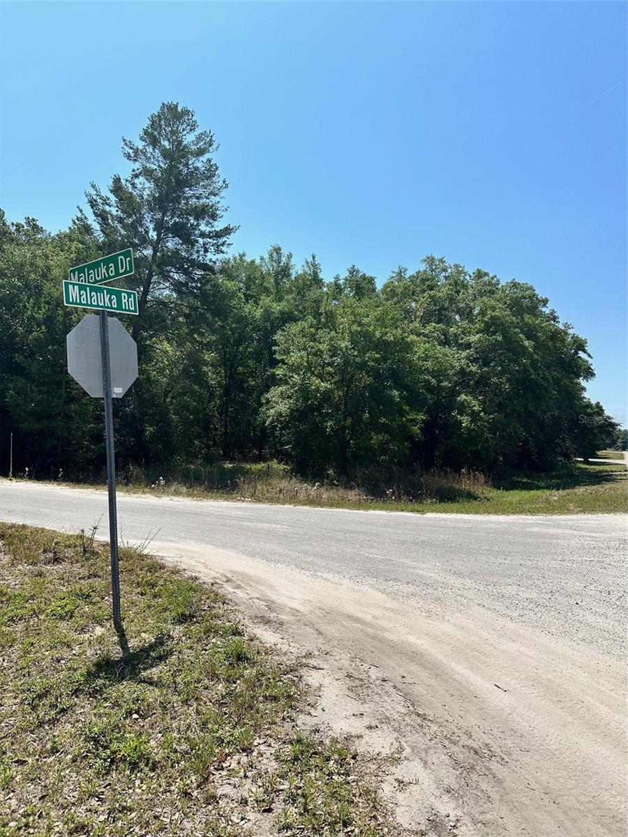 Listing Details for Tbd Malauka Road, OCKLAWAHA, FL 32179