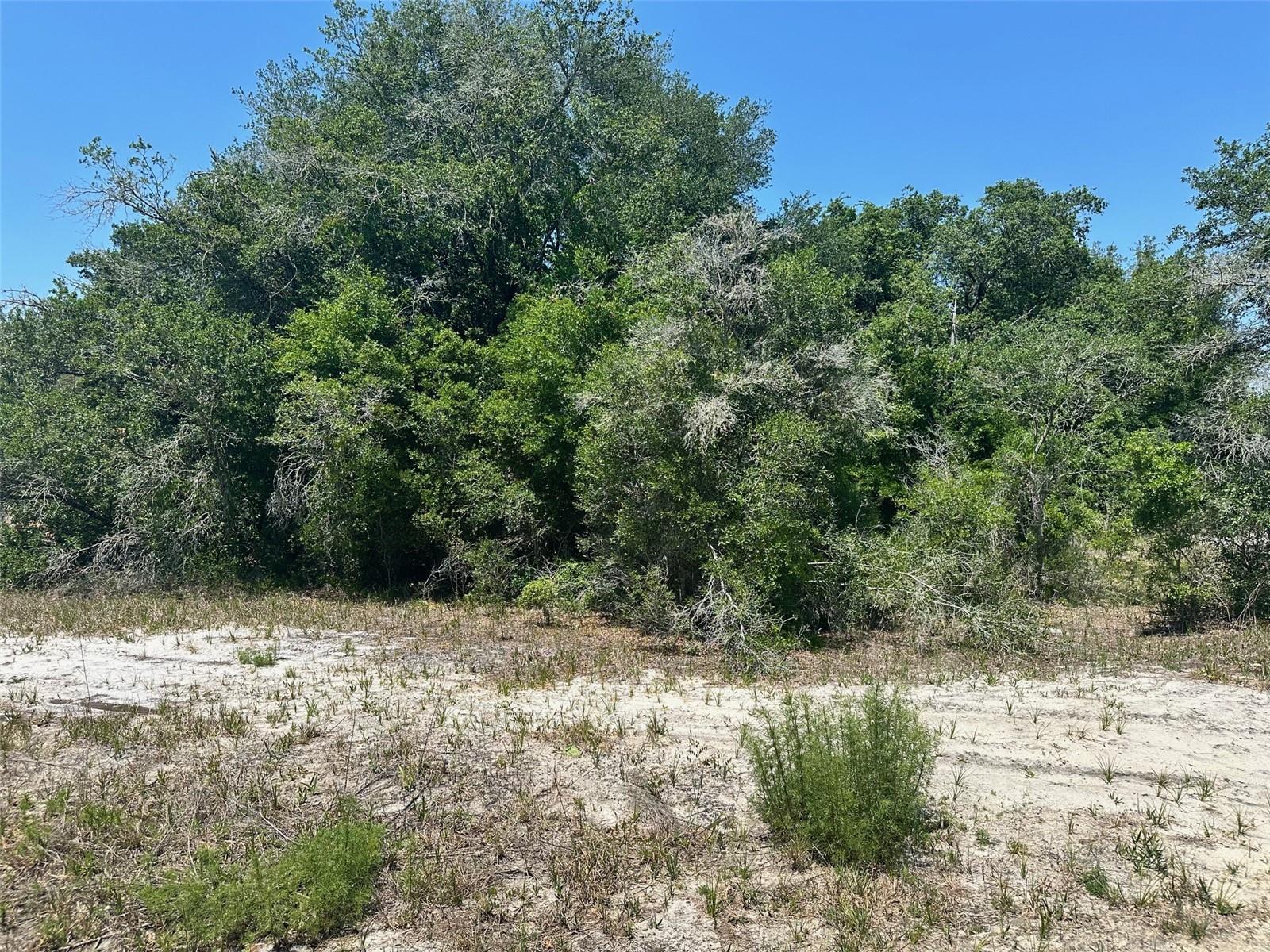 Details for Tbd Orange Road, OCKLAWAHA, FL 32179