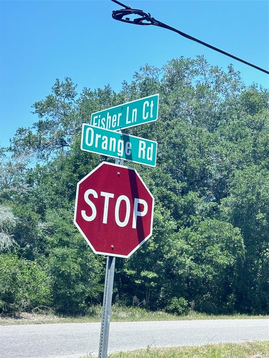 Image 2 of 2 For Tbd Orange Road