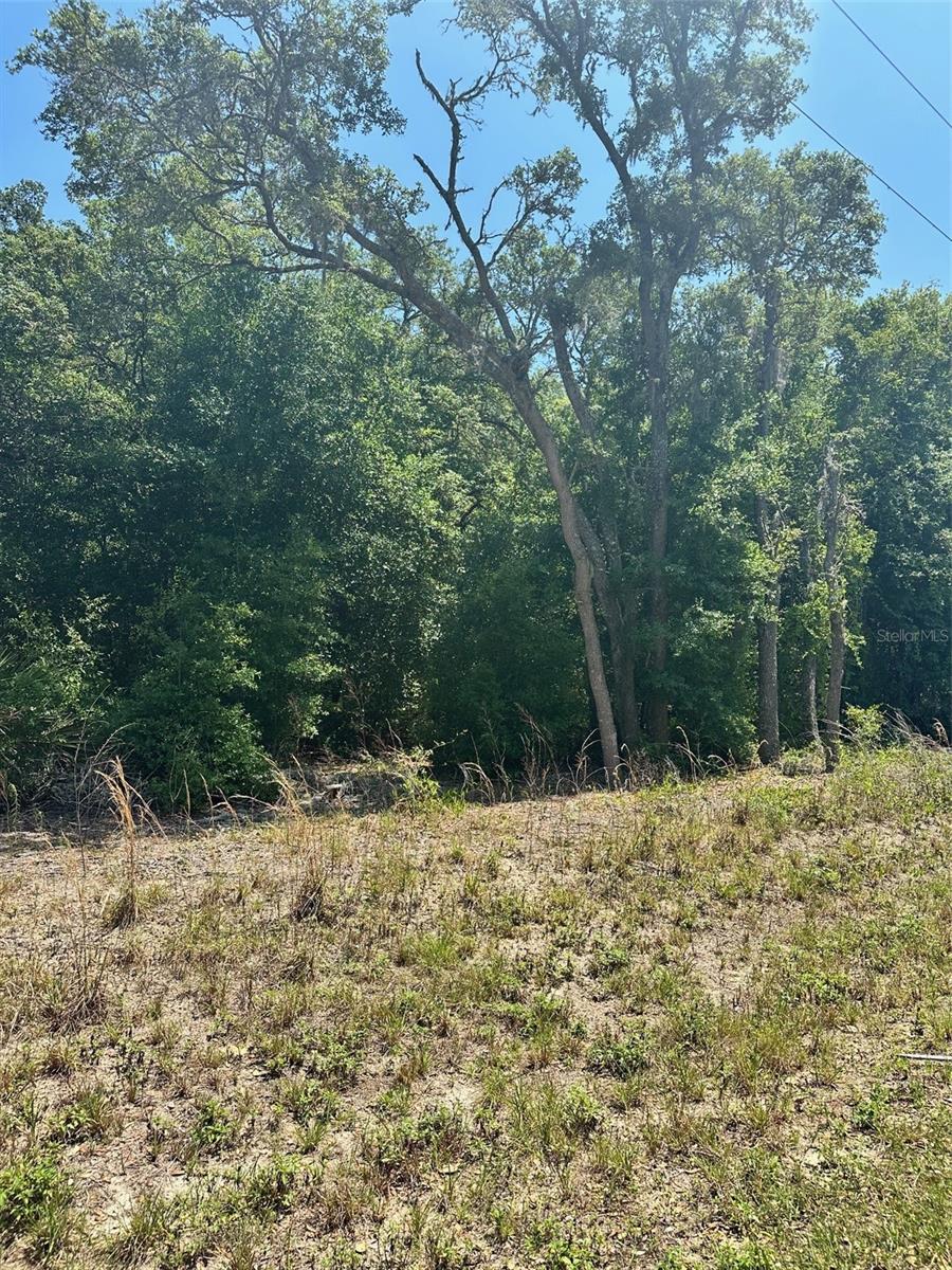 Details for Tbd Fisher Lane, OCKLAWAHA, FL 32179
