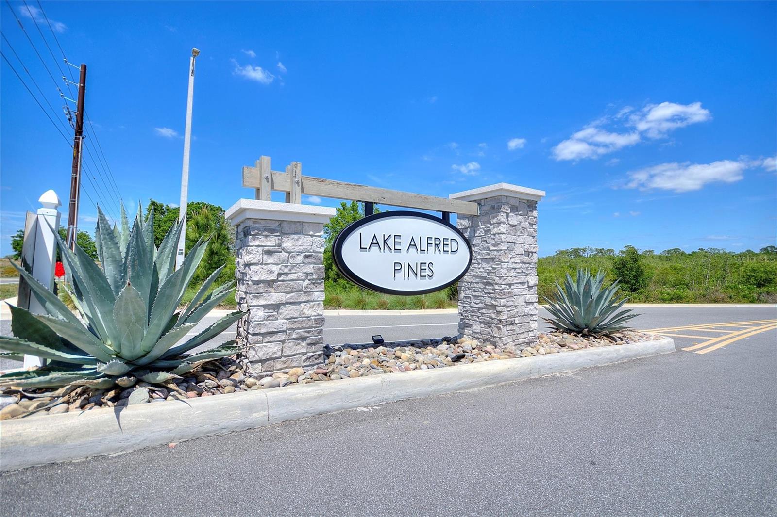 Image 13 of 39 For 423 Pine Tree Boulevard