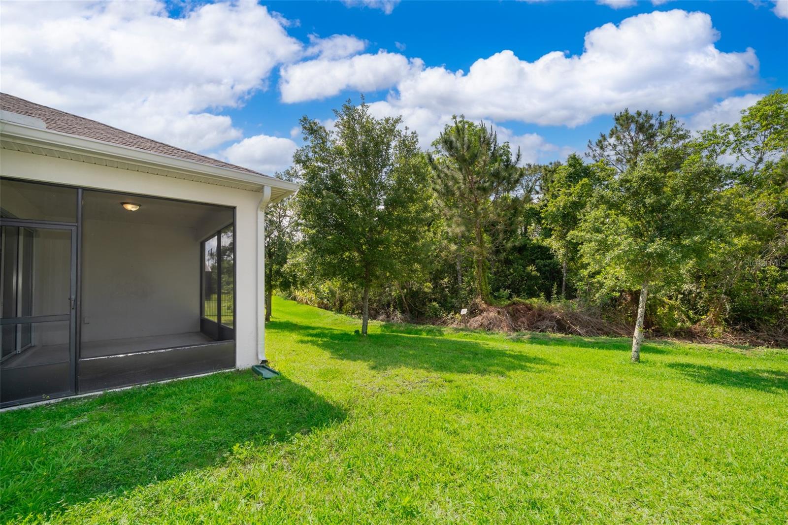 Image 34 of 36 For 11054 Cyrilla Woods Drive