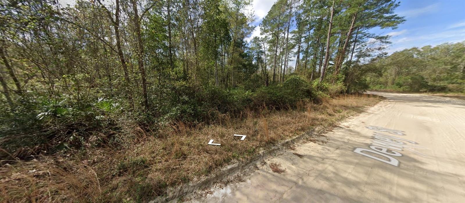 Details for Block 246 Lot 3, INTERLACHEN, FL 32148