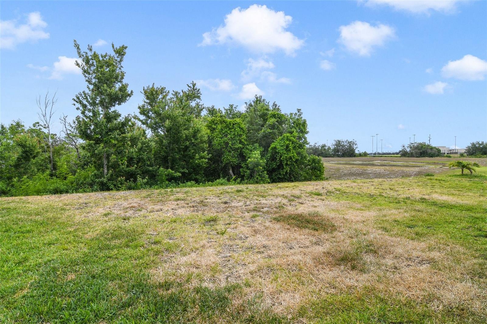 Image 42 of 55 For 1115 Oak Bluff Drive