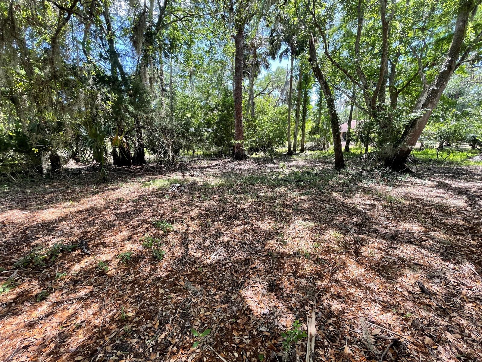 Image 2 of 11 For 1496 Kettledrum Trail