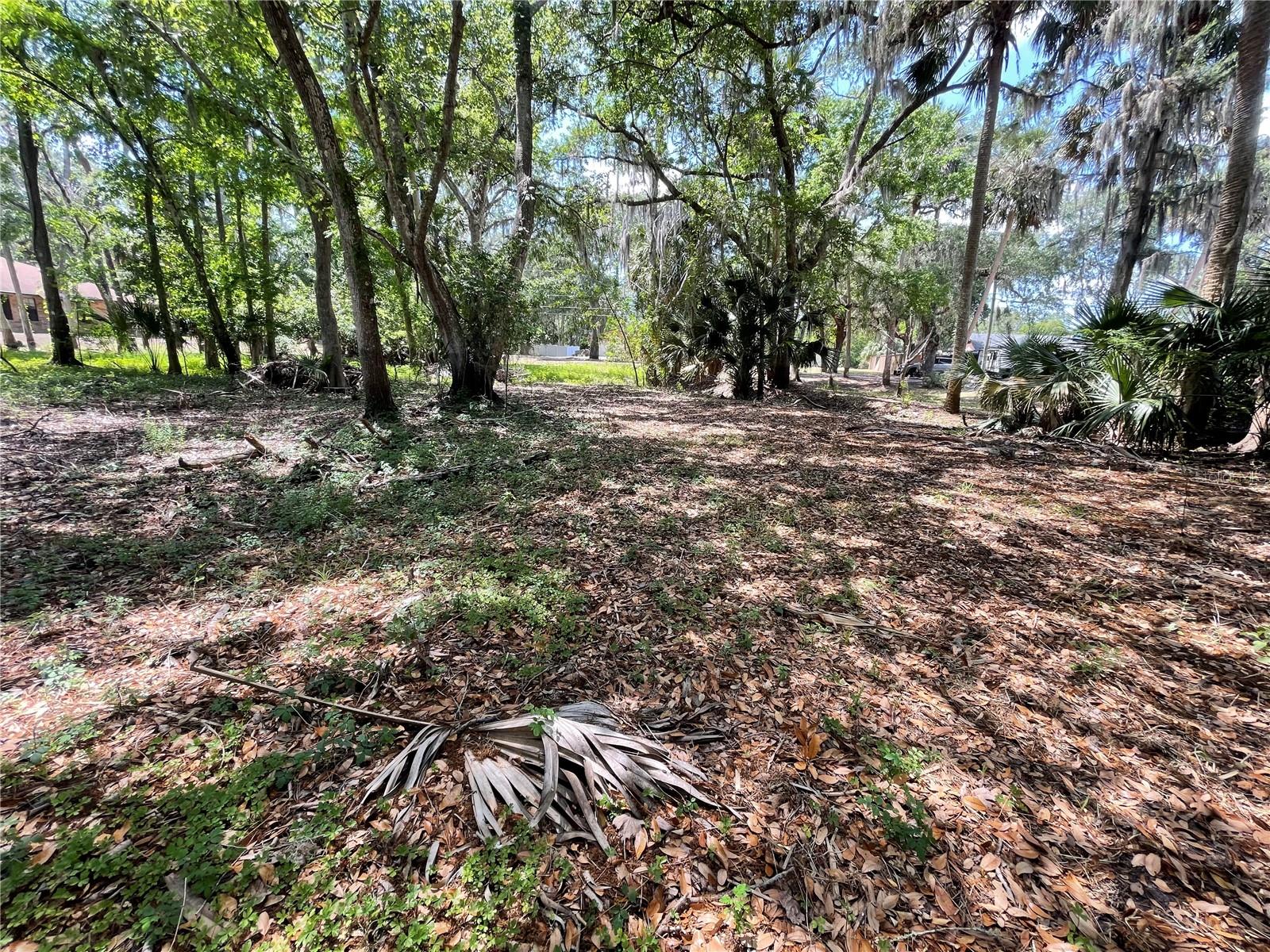 Image 3 of 11 For 1496 Kettledrum Trail