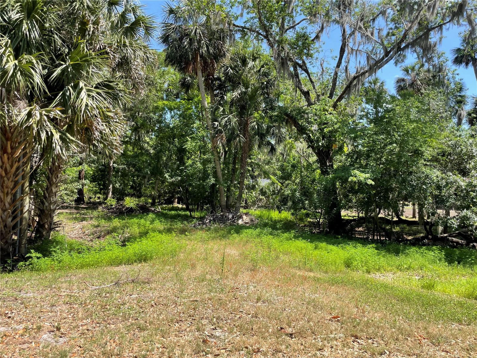 Image 5 of 11 For 1496 Kettledrum Trail