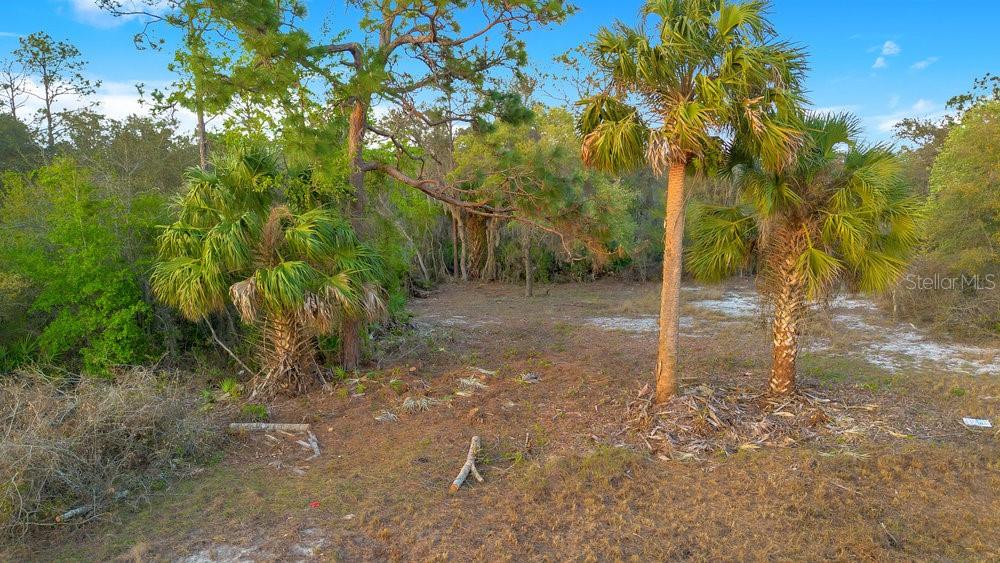 Details for 1411 Sarasota Court, POINCIANA, FL 34759