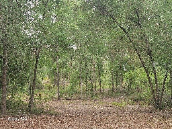 Listing photo id 2 for 1650 Withlacoochee Trail