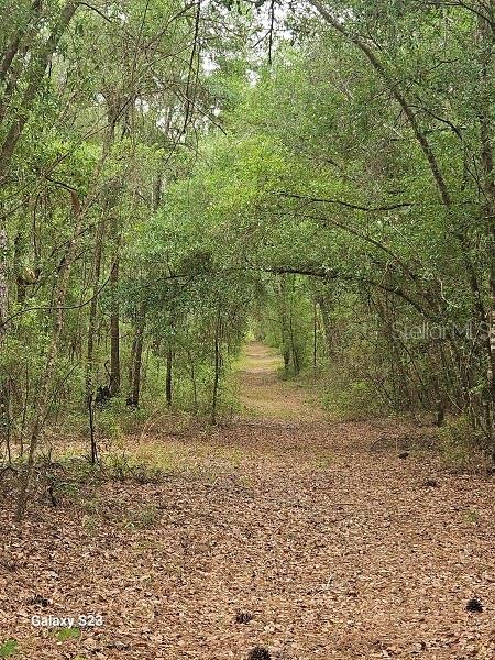 Listing photo id 3 for 1650 Withlacoochee Trail