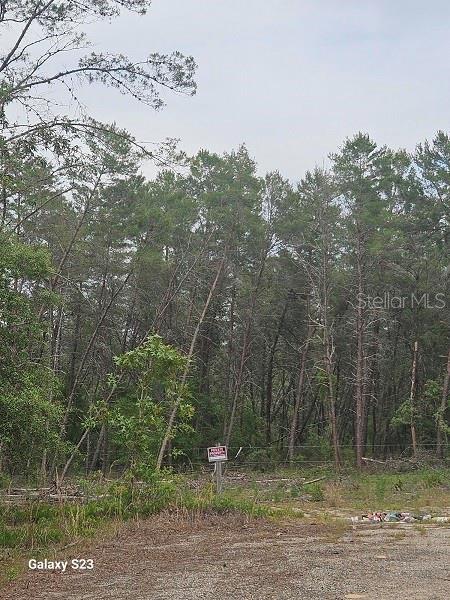 Listing photo id 4 for 1650 Withlacoochee Trail