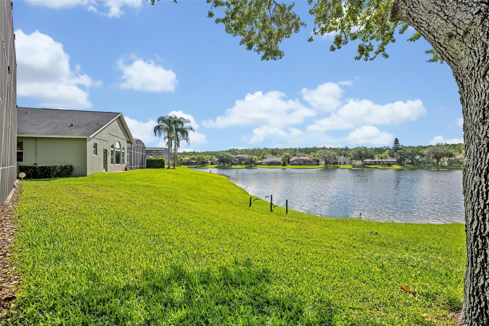 Image 51 of 75 For 14545 Braddock Oak Drive