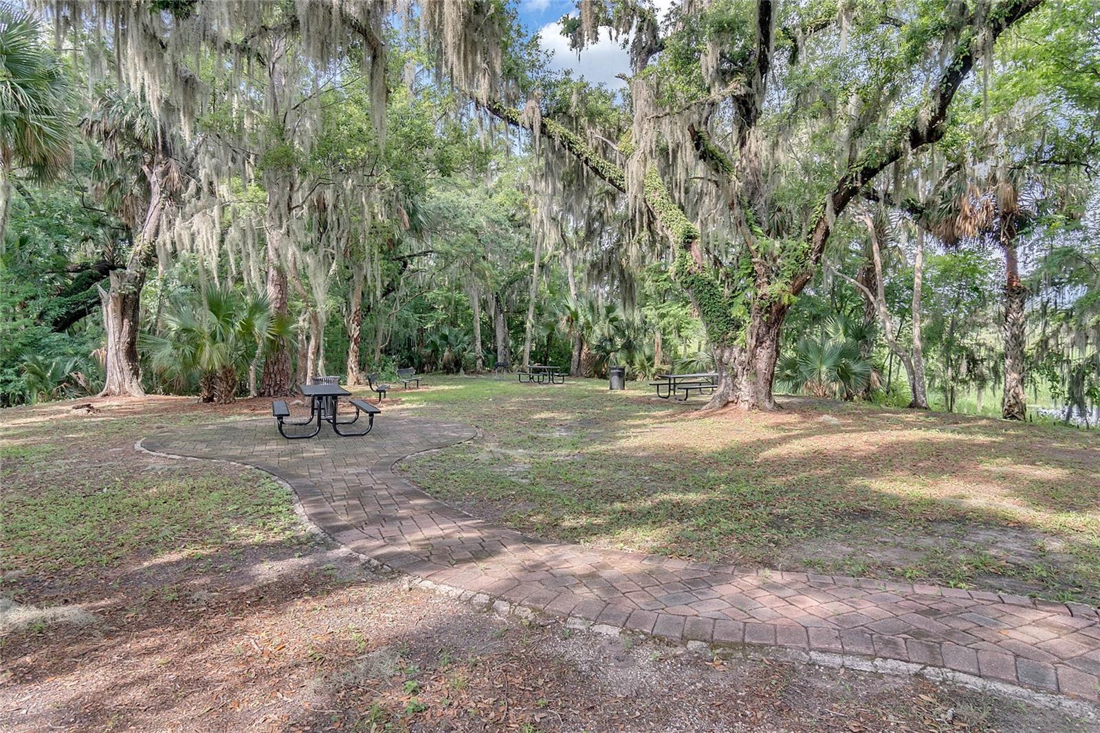 Image 59 of 66 For 455 Lazio Circle