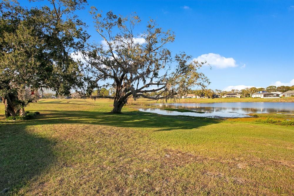 Image 26 of 41 For 10249 Spring Lake Drive