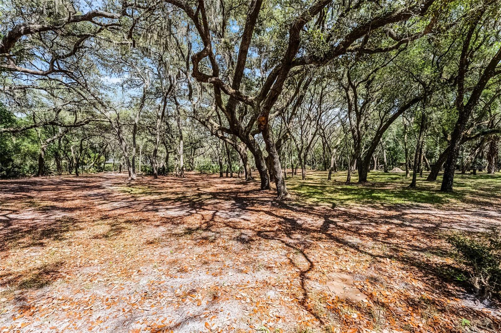 Image 78 of 78 For 5655 Oak Hollow Lane