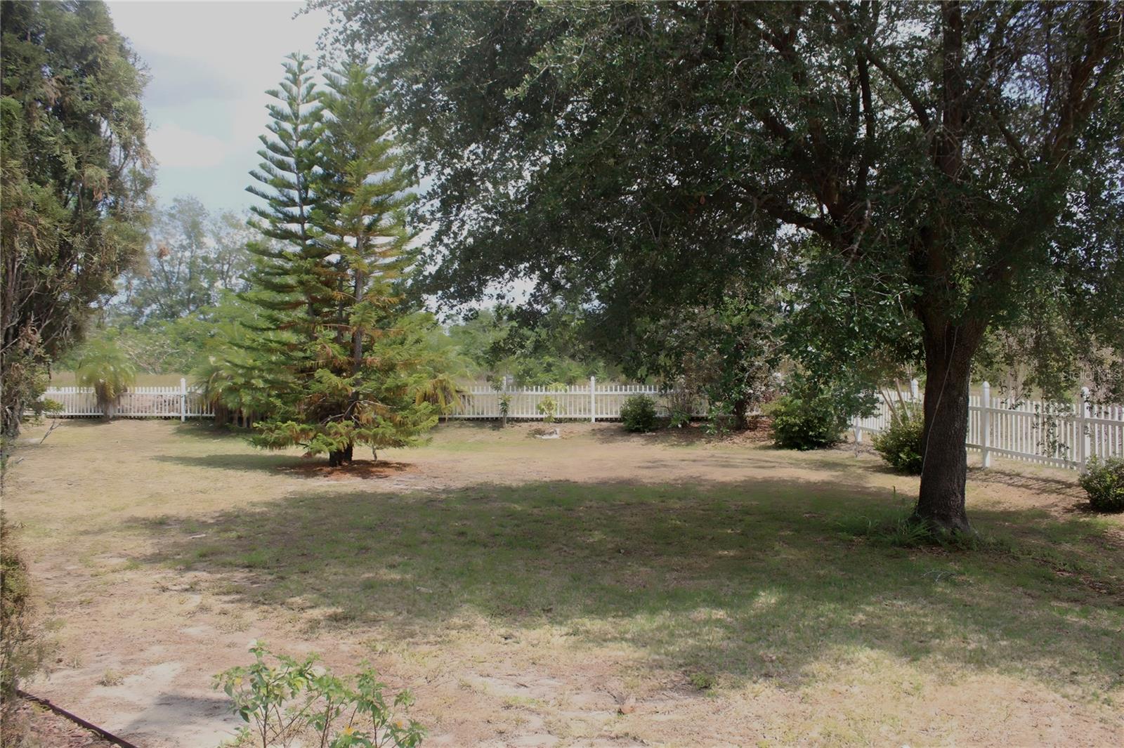 Image 3 of 19 For 1009 Ronlin Street