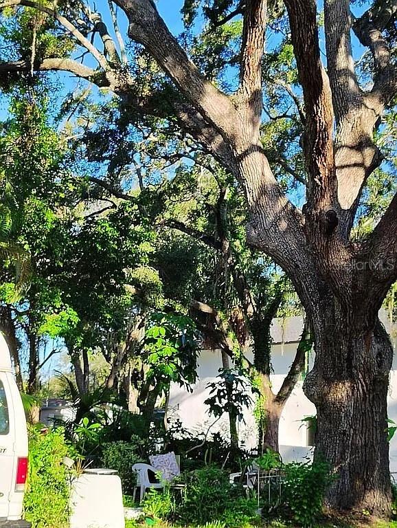 Image 10 of 16 For 820 Bayou Avenue