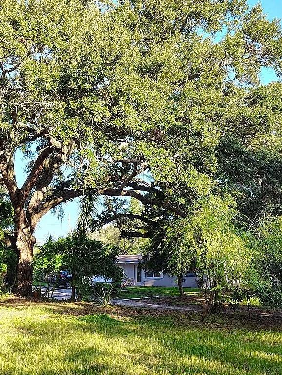 Image 13 of 16 For 820 Bayou Avenue