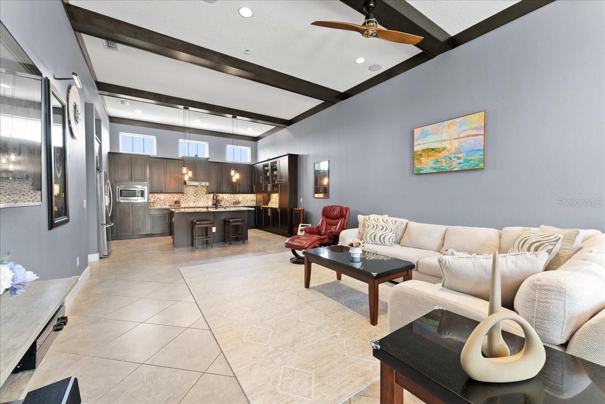 Image 12 of 38 For 8436 Tavistock Lakes Boulevard