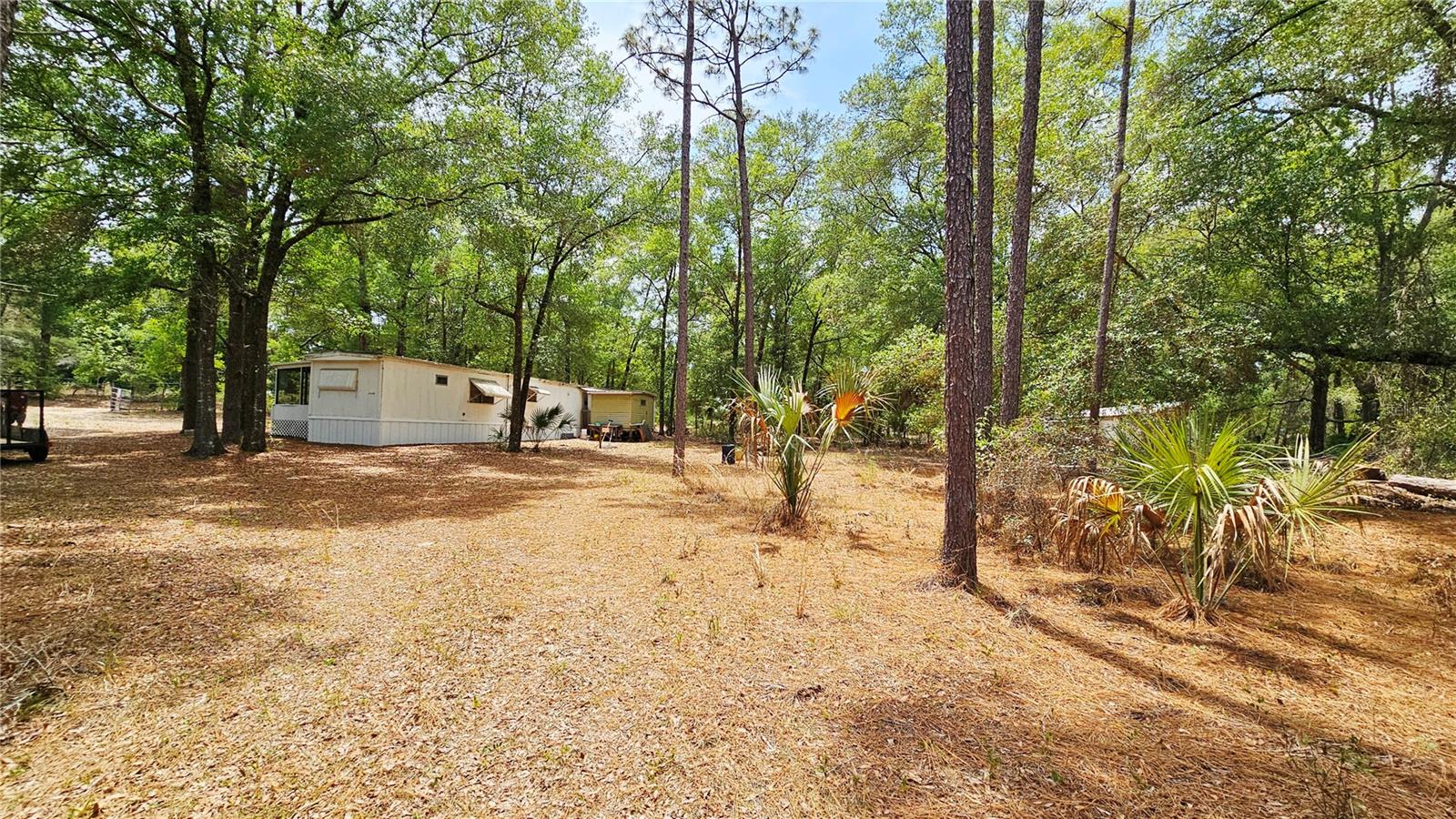 Image 7 of 29 For 24533 Pink Panther Road
