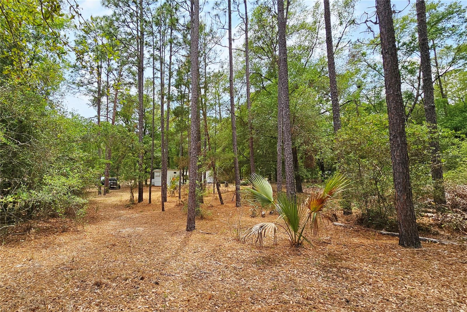 Image 8 of 29 For 24533 Pink Panther Road