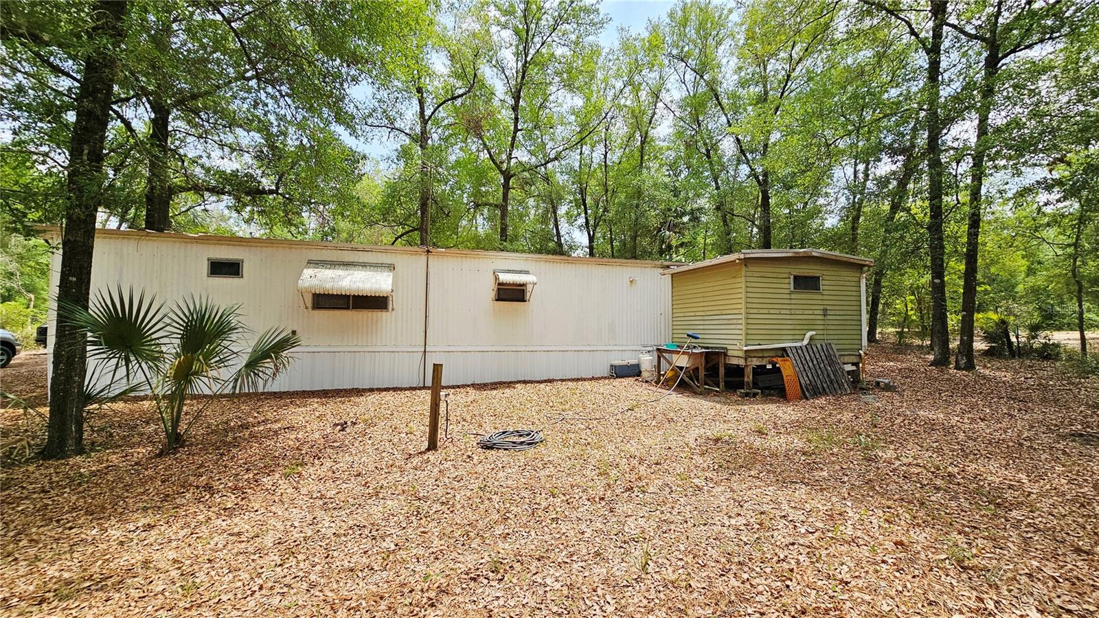 Image 9 of 29 For 24533 Pink Panther Road