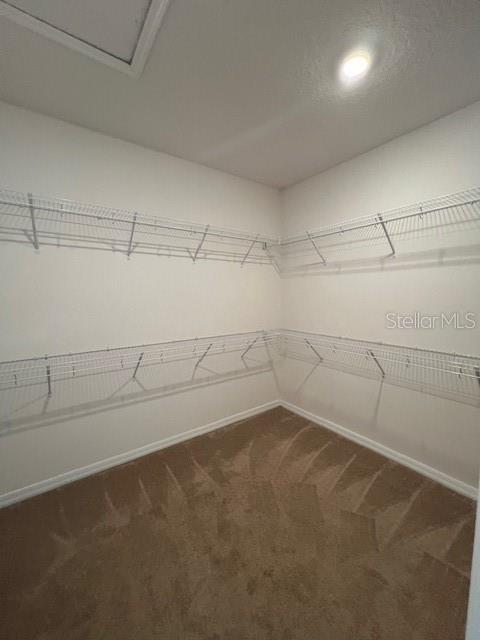 Image 9 of 14 For 15037 Black Scoter Drive