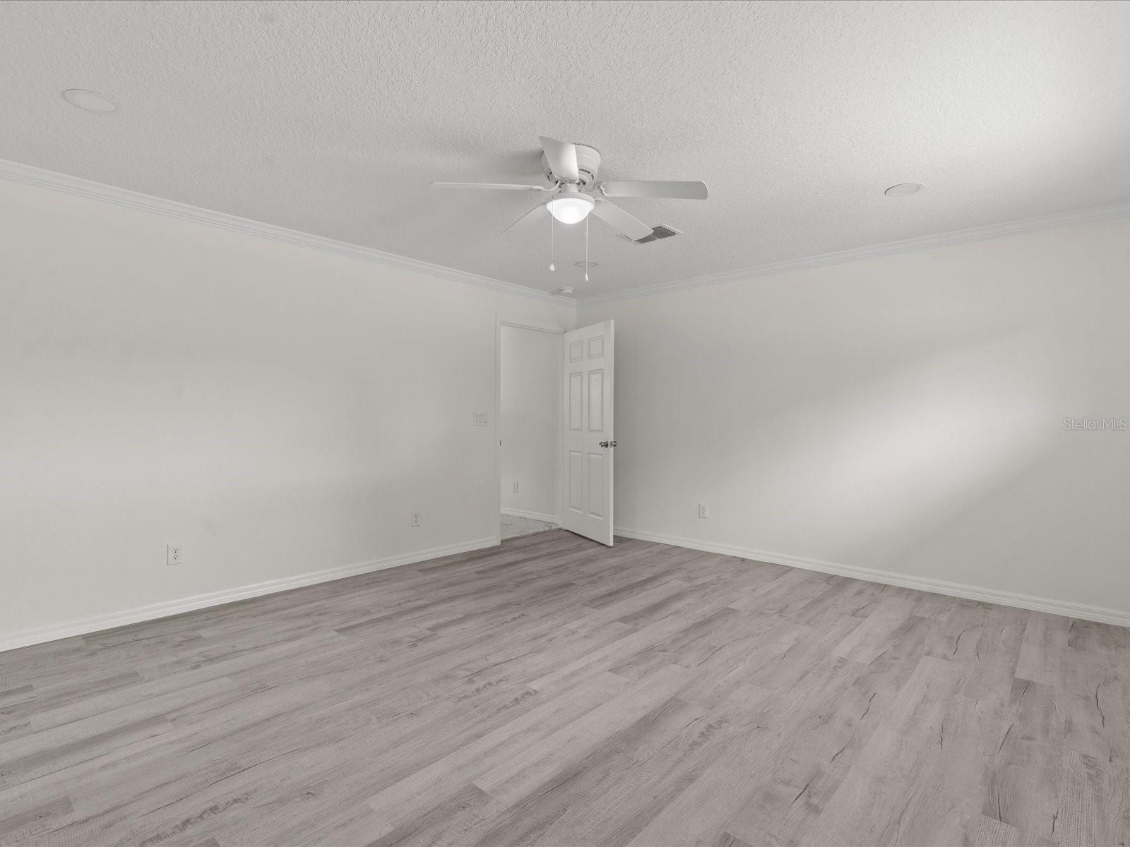 Image 20 of 53 For 207 Palmetto Street