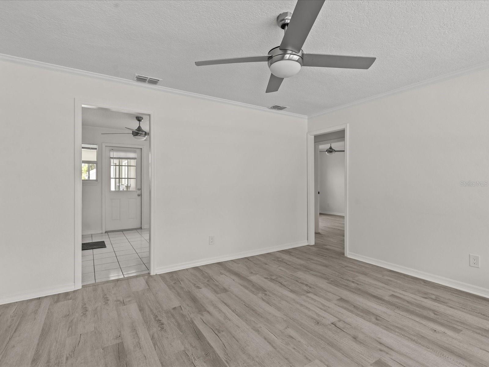 Image 37 of 53 For 207 Palmetto Street