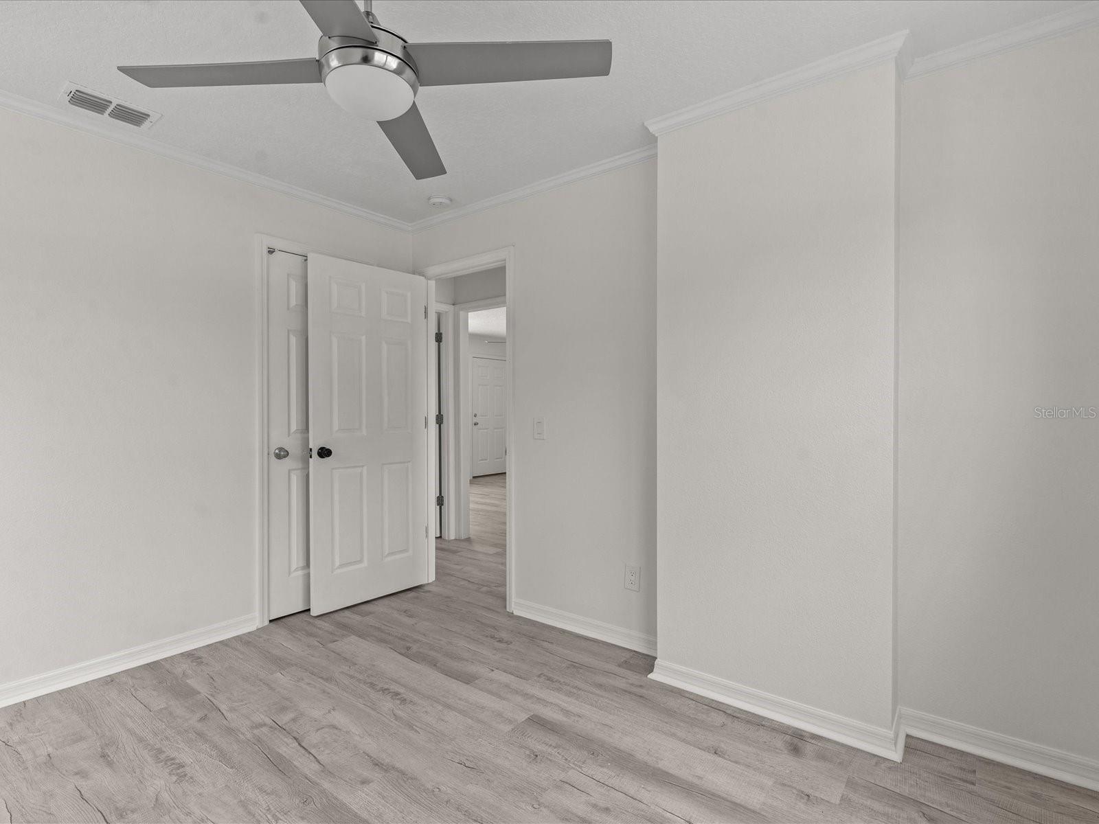 Image 46 of 53 For 207 Palmetto Street