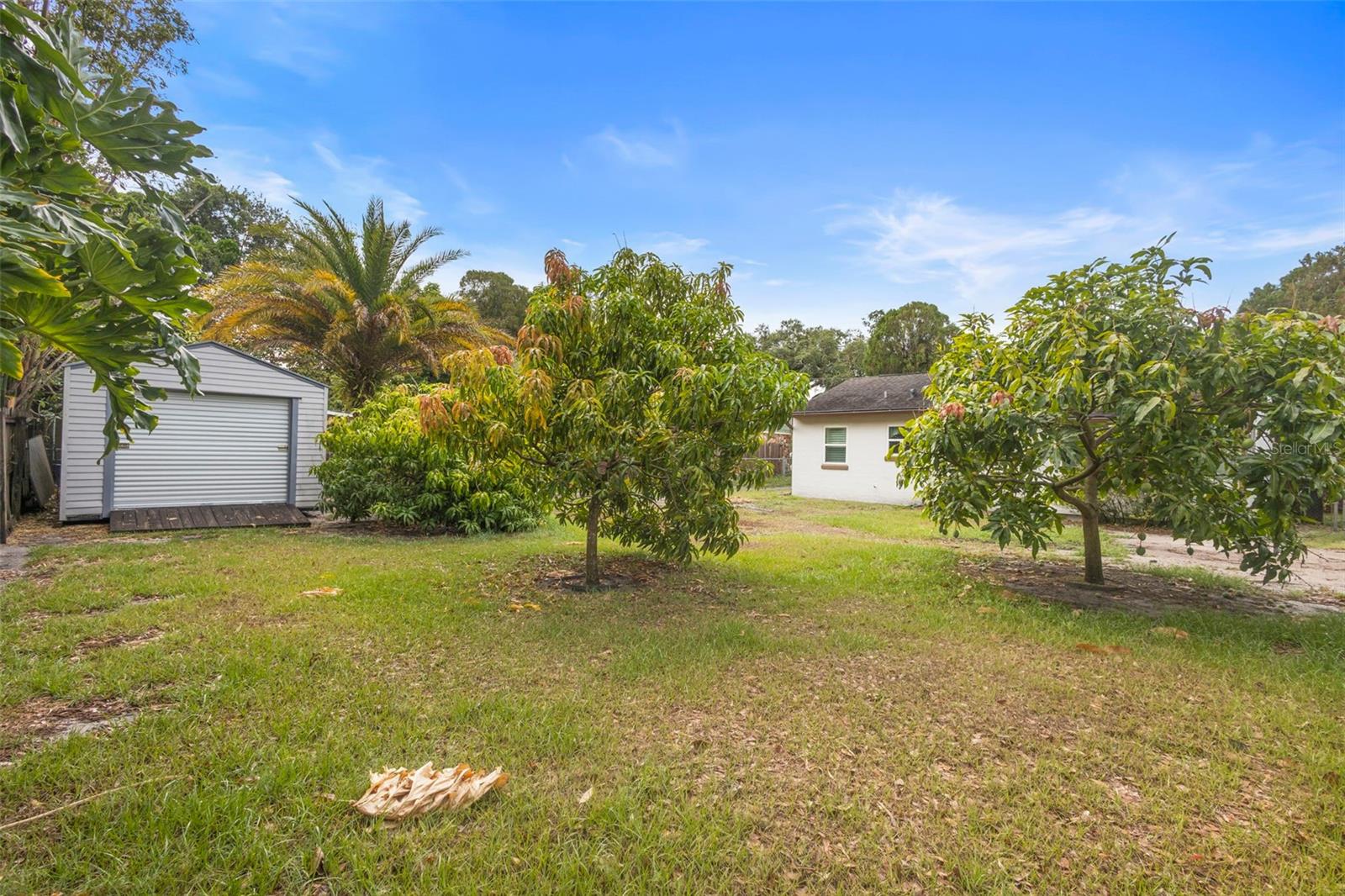 Image 9 of 19 For 2123 Weber Street
