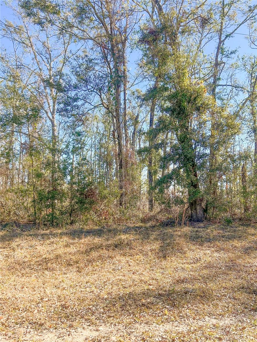 Details for 0 Pin Oak Lane, JENNINGS, FL 32053