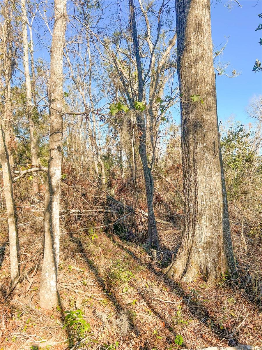 Image 2 of 2 For 0 Pin Oak Lane