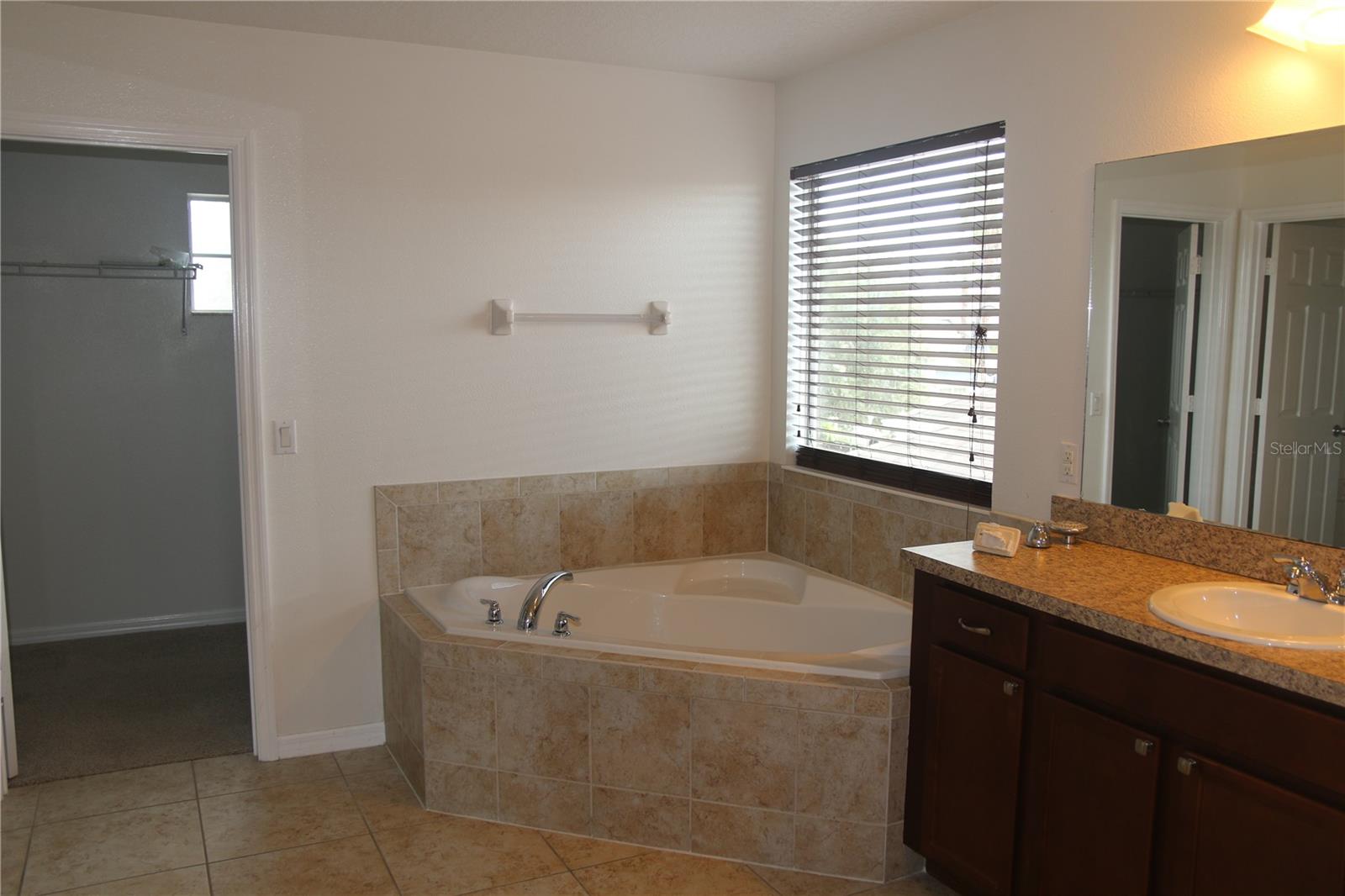Image 44 of 49 For 12610 Sawgrass Oak Street