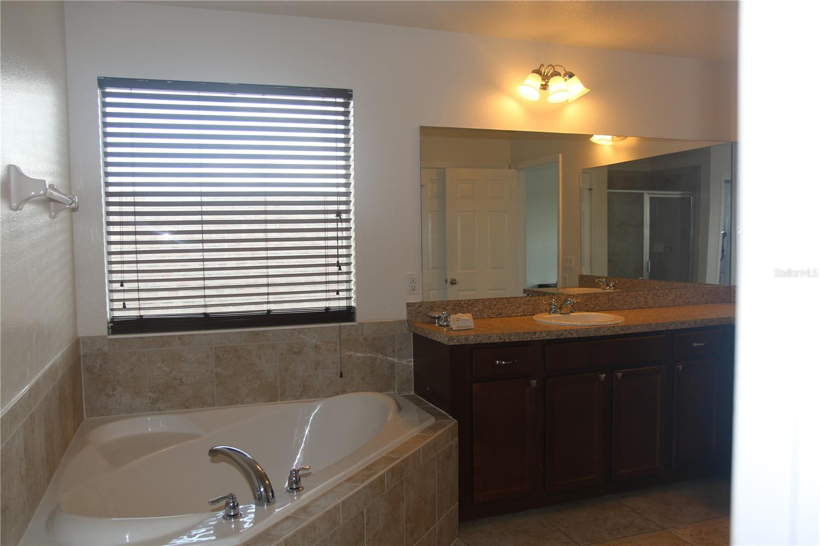 Image 46 of 49 For 12610 Sawgrass Oak Street