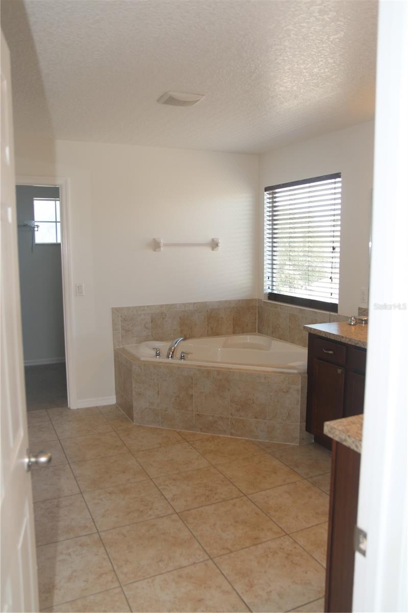 Image 61 of 65 For 12610 Sawgrass Oak Street