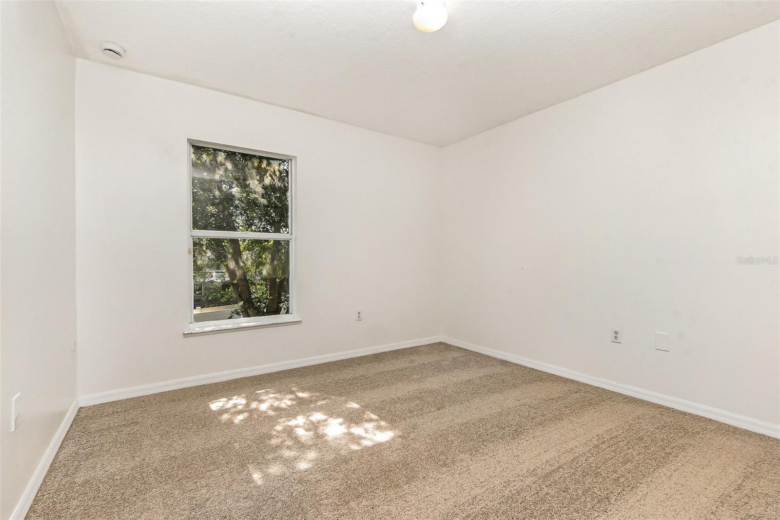 Image 14 of 29 For 9532 Water Fern Circle