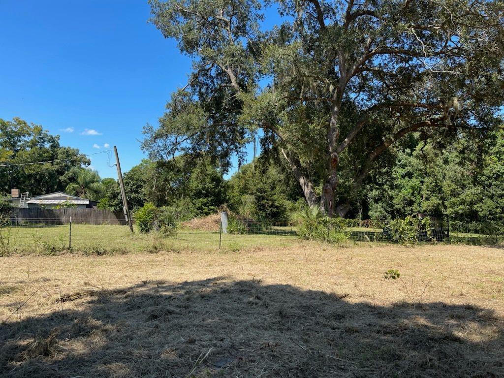 Details for 2219 Grant Avenue, EUSTIS, FL 32726