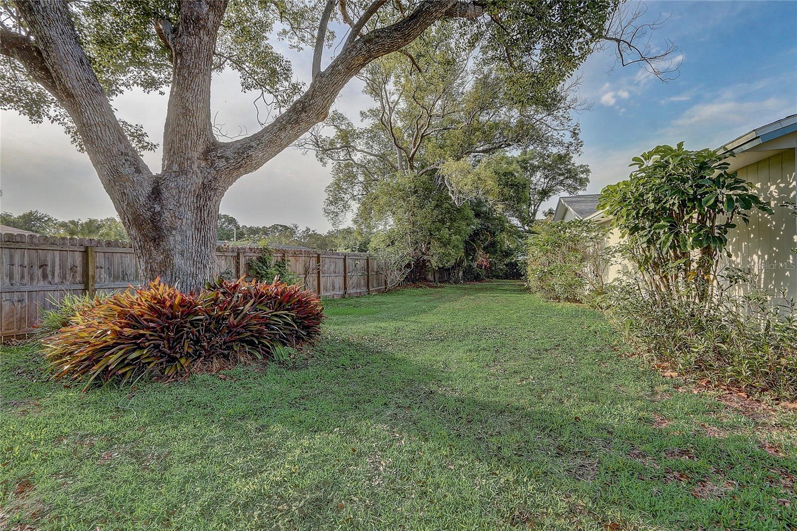 Image 36 of 38 For 3100 Las Palmas Drive